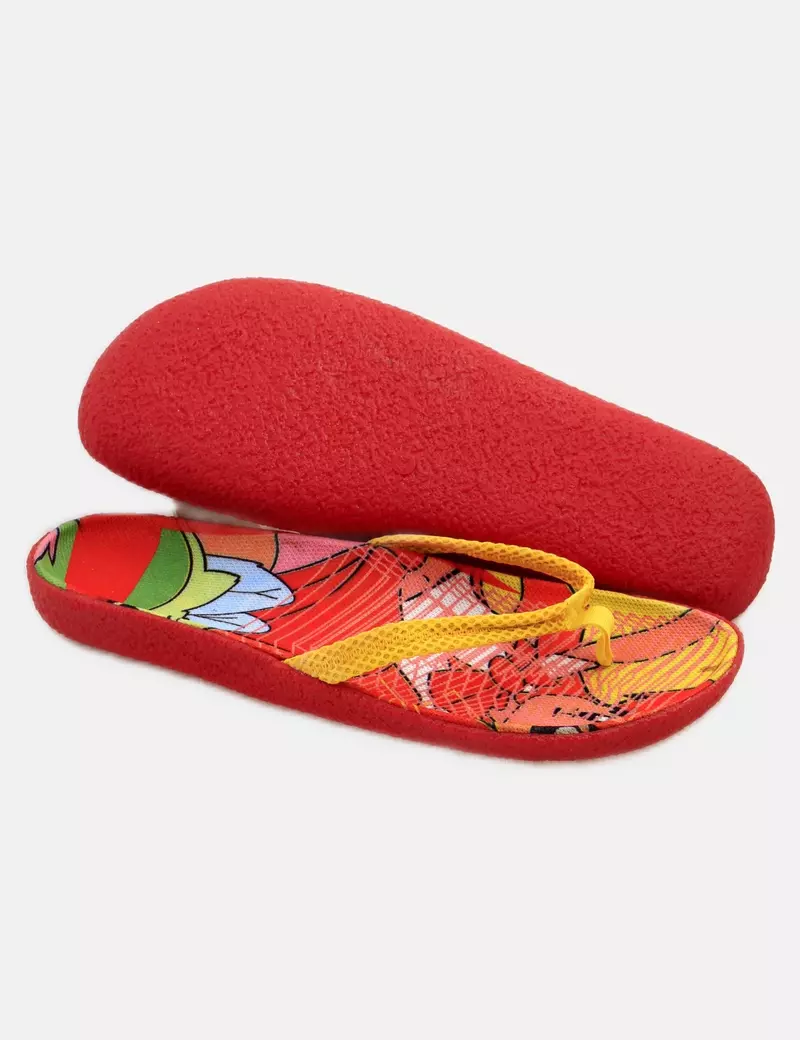 Amarillolimon Chanclas