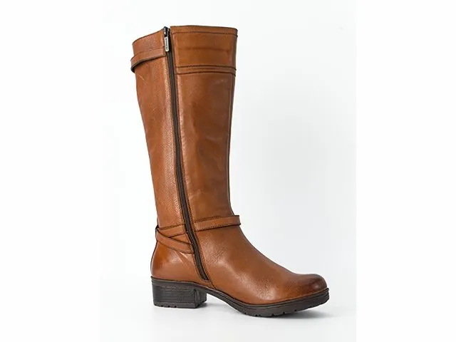 Bota Bruno Ferrini DX21904