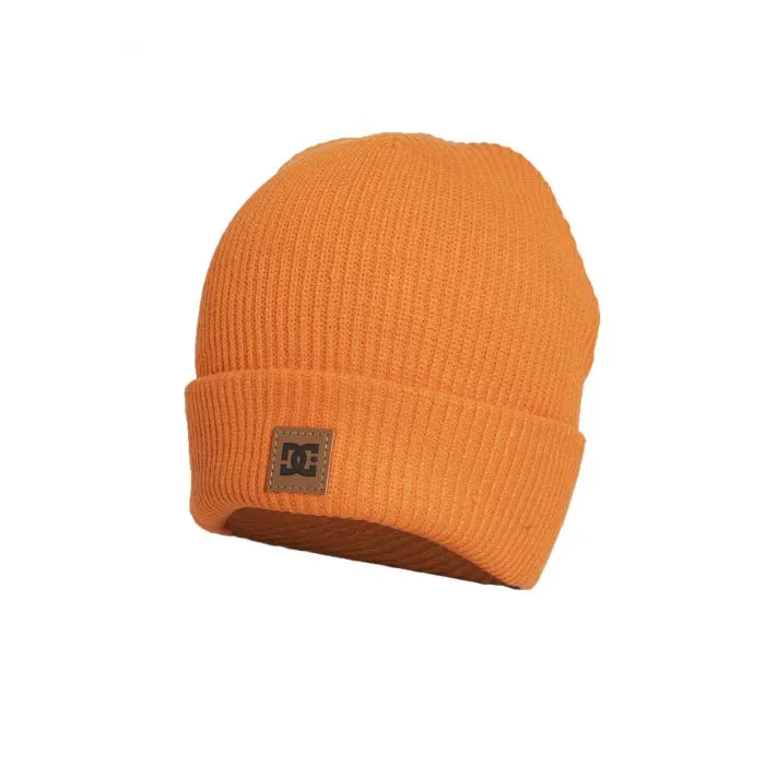 Gorro DC Beanie Snow Sight