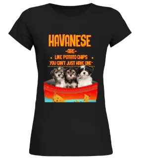 Havanese Camiseta cuello redondo Mujer