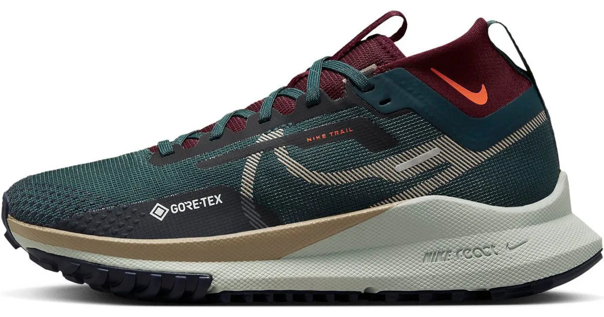 Nike Pegasus Trail 4 GORE-TEX