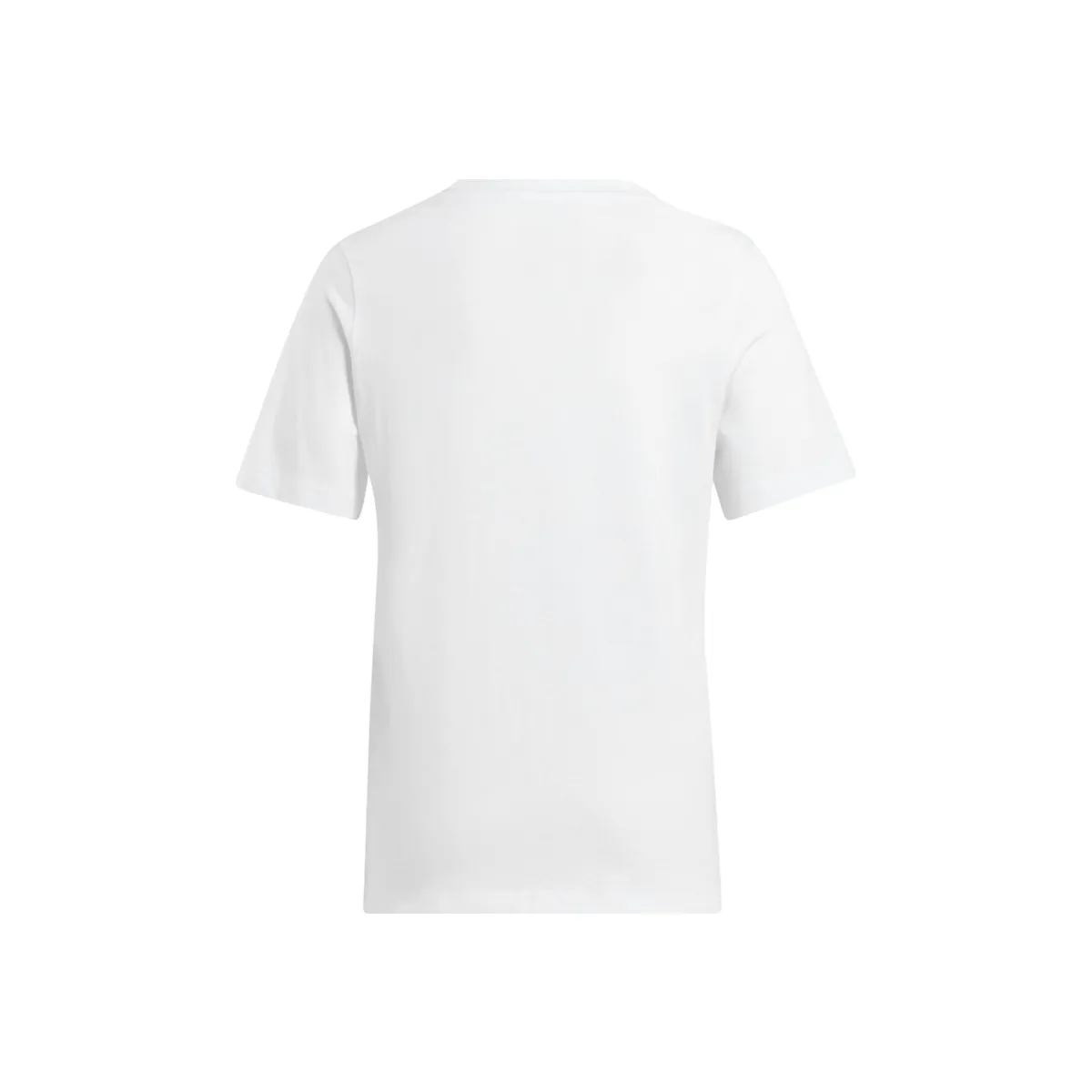 Reebok Remera Te Graphic Tee Vector Ar W – 2mkl61arib2308